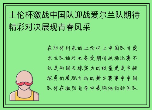 土伦杯激战中国队迎战爱尔兰队期待精彩对决展现青春风采